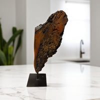 Naturii Driftwood | Sculpture