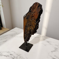 Naturii Driftwood | Sculpture