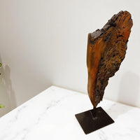 Naturii Driftwood | Sculpture