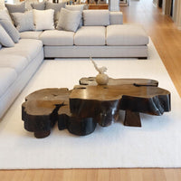 Terra Root | Center Table